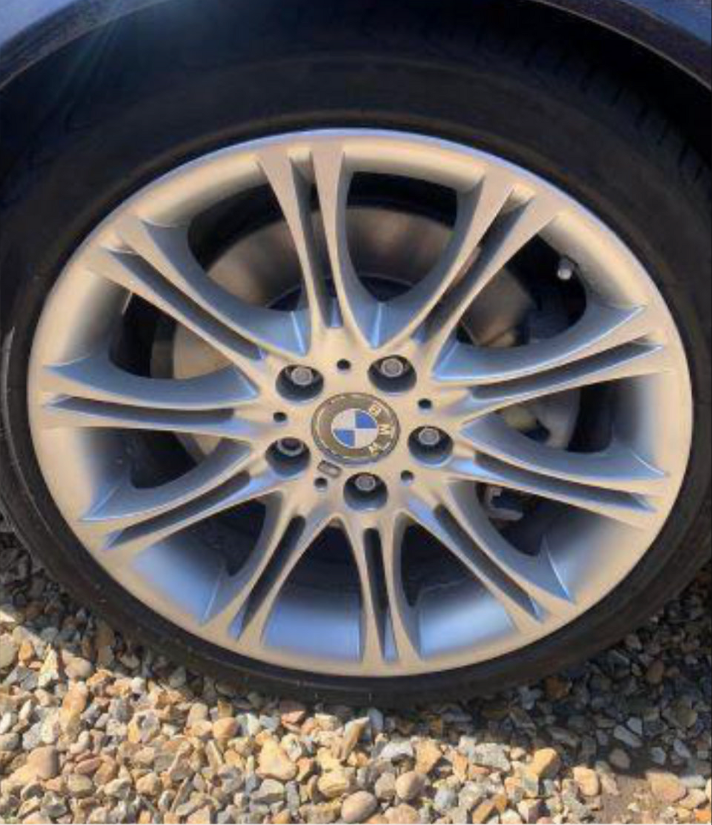Elevia™ Viking Wheel Brush 2.0