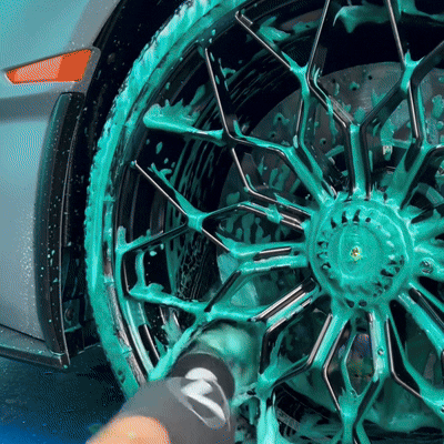 Elevia™ Viking Wheel Brush 2.0